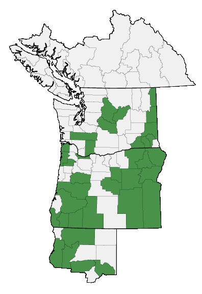 Map of where plant is found
