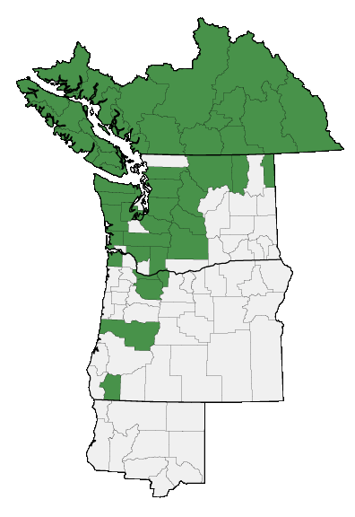 Map of where plant is found