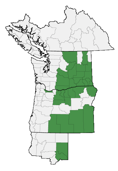 Map of where plant is found