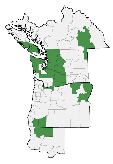 Map of where plant is found