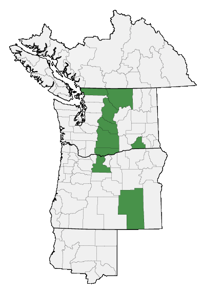 Map of where plant is found