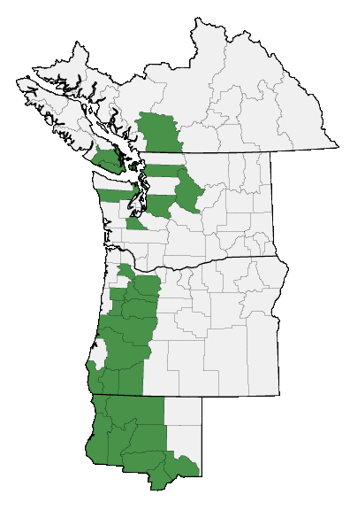 Map of where plant is found