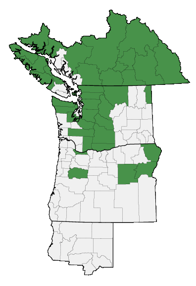 Map of where plant is found