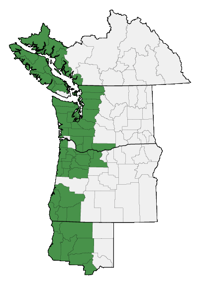 Map of where plant is found