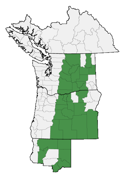 Map of where plant is found