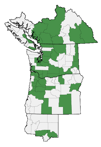 Map of where plant is found