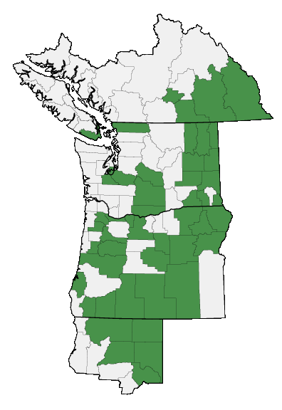 Map of where plant is found
