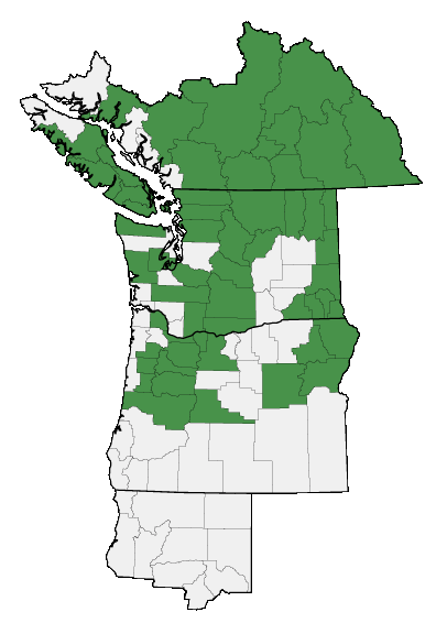 Map of where plant is found