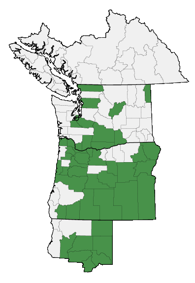 Map of where plant is found