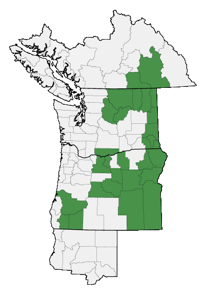 Map of where plant is found