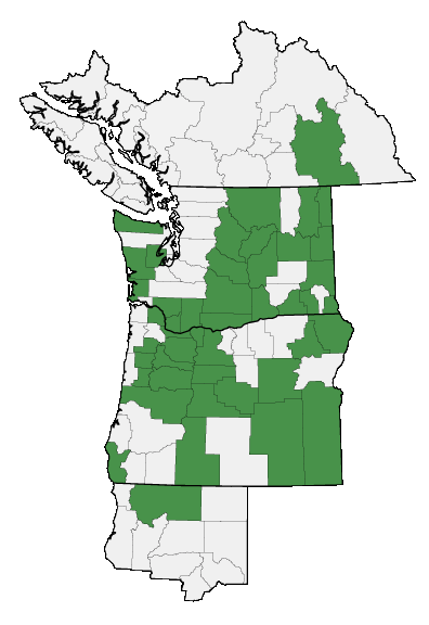 Map of where plant is found