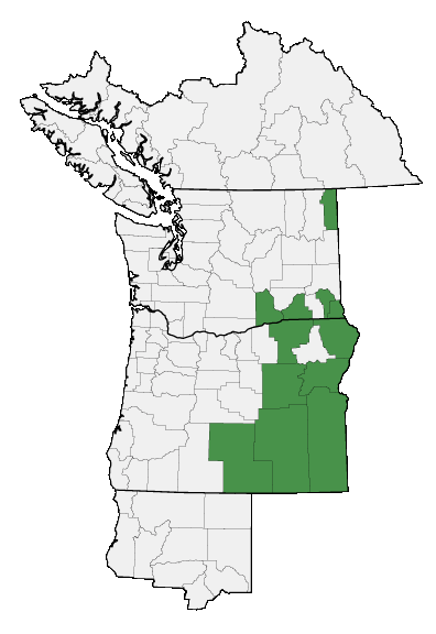 Map of where plant is found