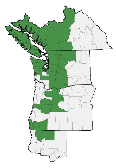 Map of where plant is found