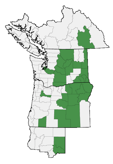 Map of where plant is found