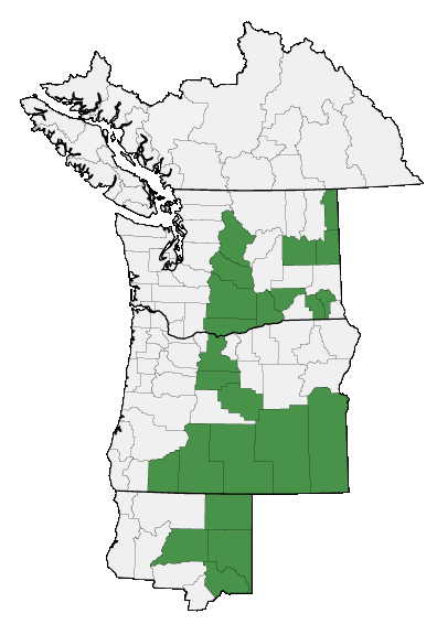 Map of where plant is found