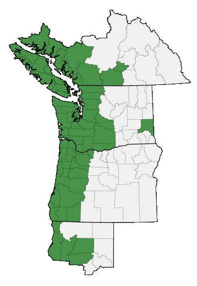 Map of where plant is found