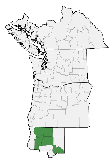 Map of where plant is found