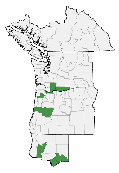 Map of where plant is found