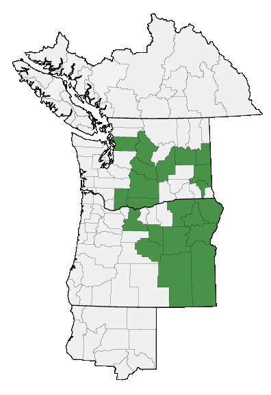 Map of where plant is found