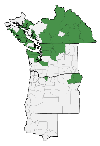 Map of where plant is found