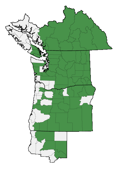 Map of where plant is found