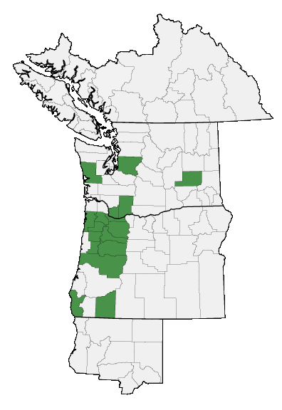 Map of where plant is found