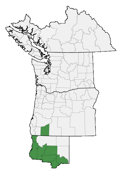 Map of where plant is found