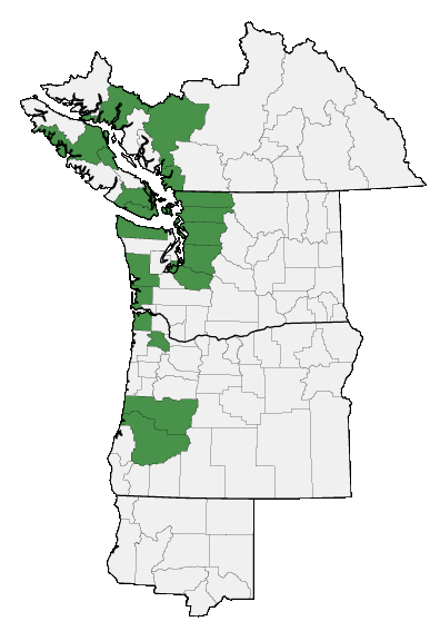 Map of where plant is found