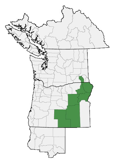 Map of where plant is found