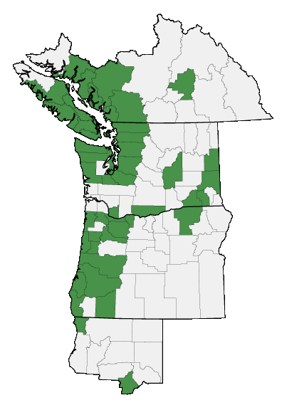 Map of where plant is found