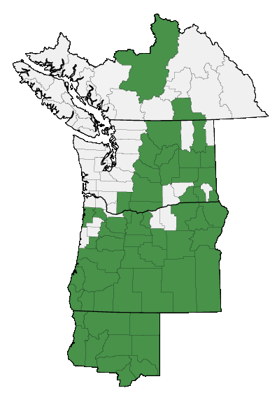 Map of where plant is found