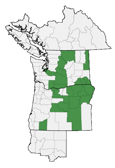 Map of where plant is found