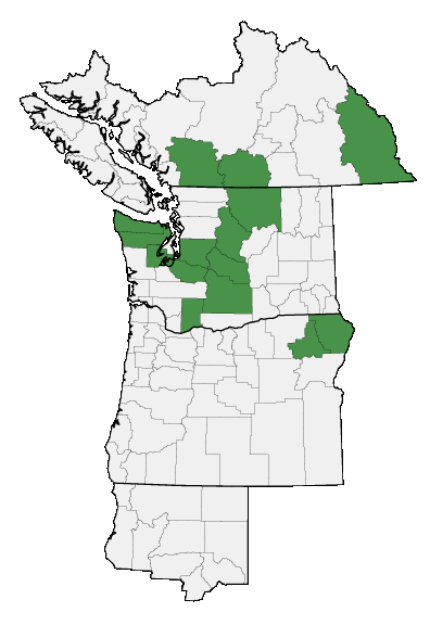 Map of where plant is found