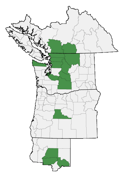 Map of where plant is found