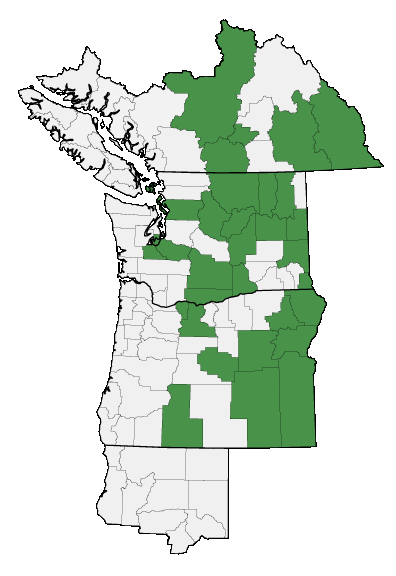 Map of where plant is found