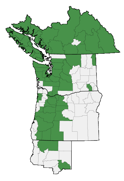 Map of where plant is found