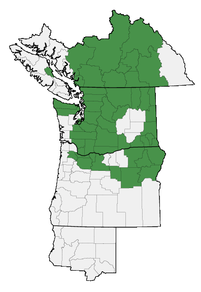 Map of where plant is found