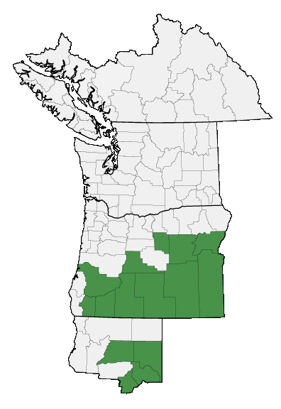 Map of where plant is found