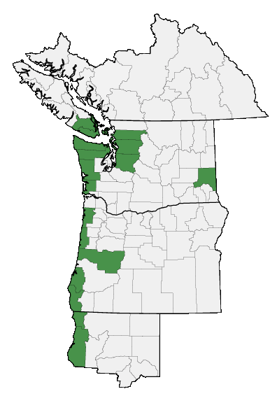 Map of where plant is found