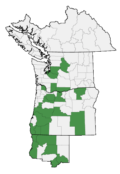 Map of where plant is found