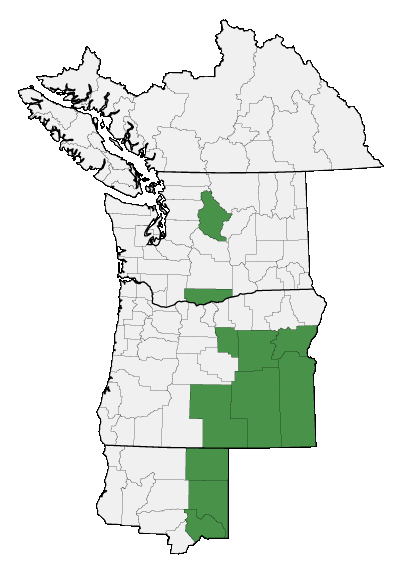 Map of where plant is found