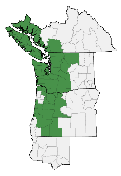 Map of where plant is found