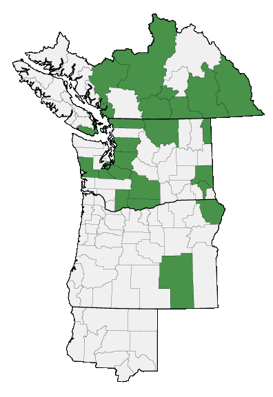 Map of where plant is found