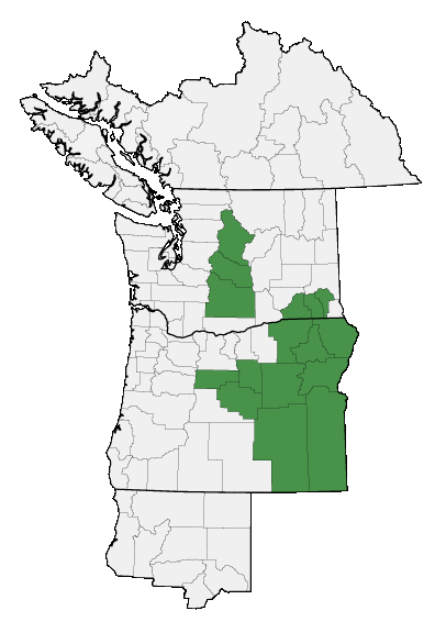 Map of where plant is found