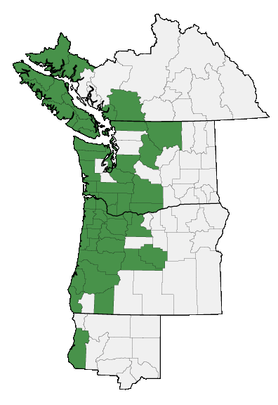 Map of where plant is found