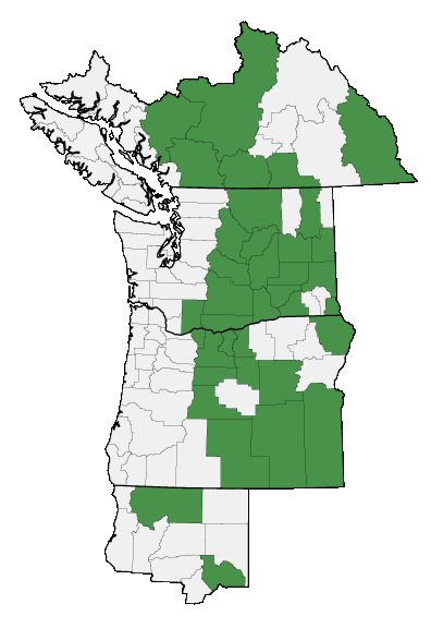 Map of where plant is found
