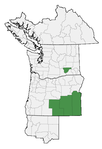 Map of where plant is found