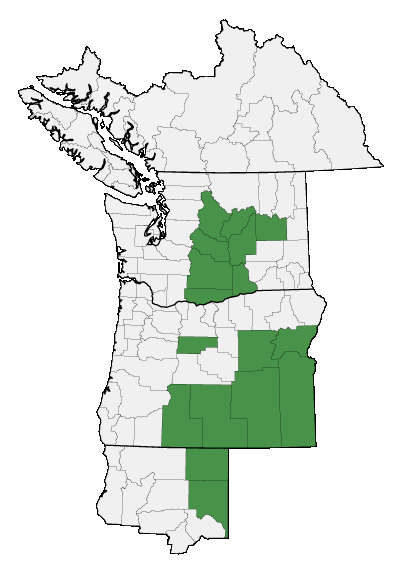 Map of where plant is found