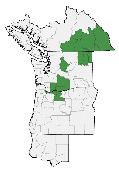 Map of where plant is found