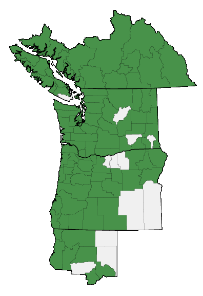 Map of where plant is found